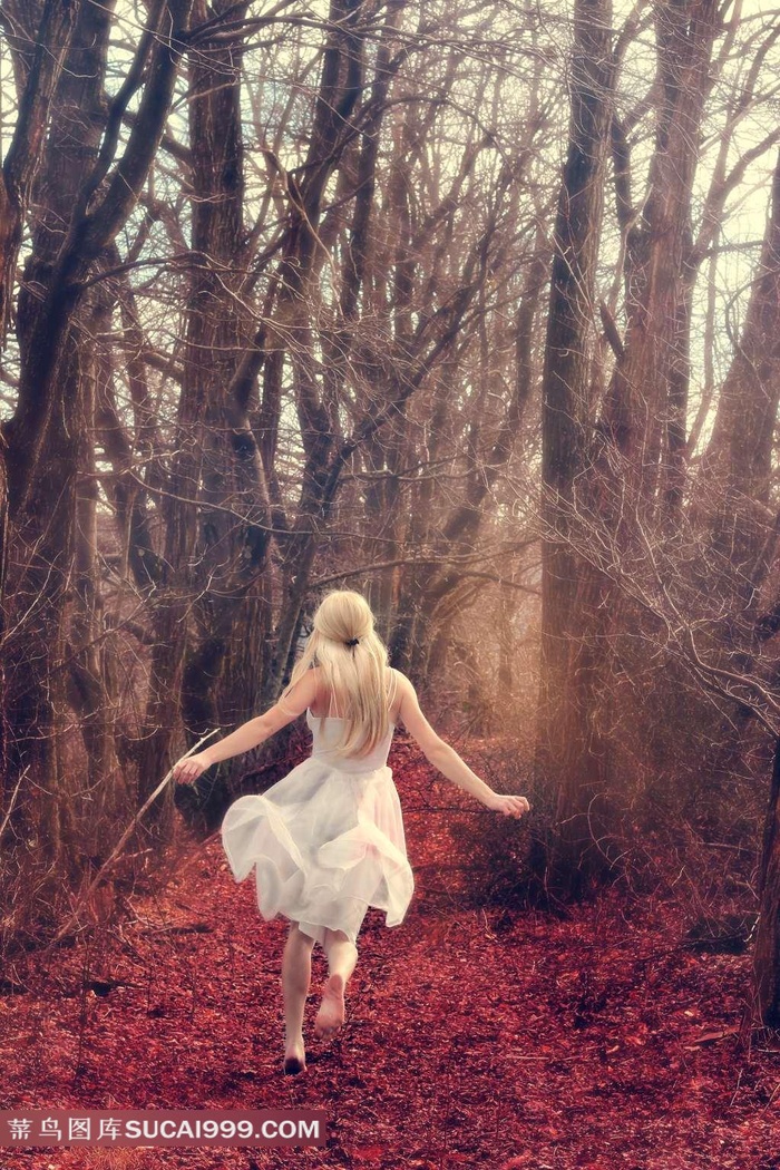 妻子的姐姐大全电视剧完整版