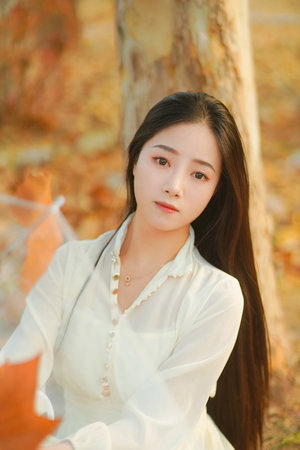 吸血惊情/吸血情挑