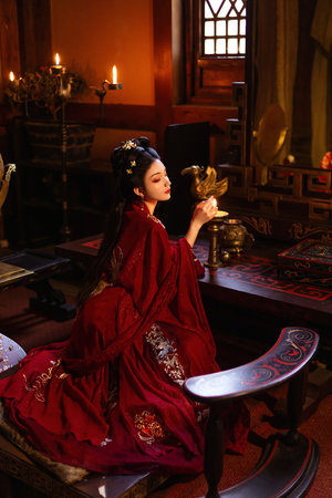 梅河教授禹莎第二部